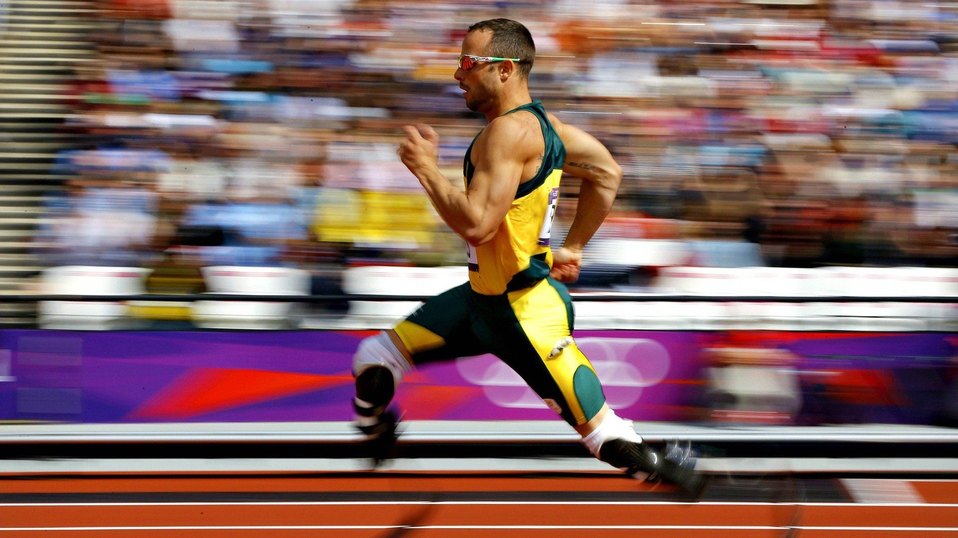 弗朗索瓦·斯图尔特：将防守与进攻结合，为南非队提供全方位保障